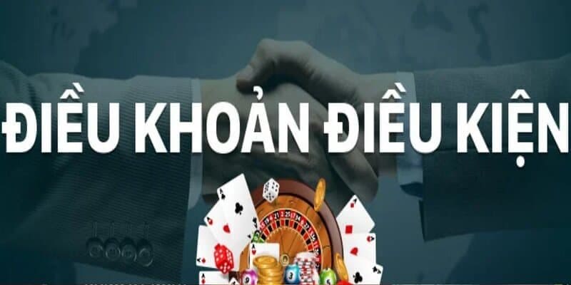 Người dùng sẽ nhận nhiều lợi ích khi hiểu điều khoản và điều kiện Typhu88