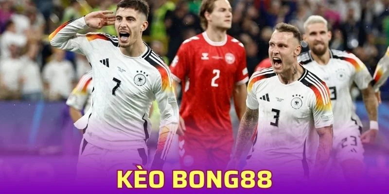Kèo Bong88 - Chia Sẻ Mẹo Cược “Dễ Thắng” Typhu88