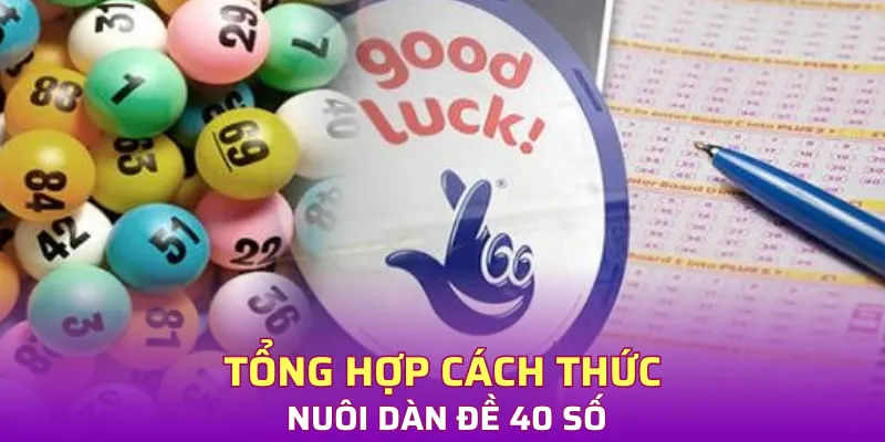 Tổng hợp cách thức nuôi dàn đề 40 số